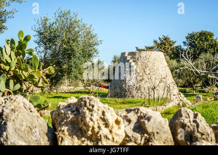 Vecchio trulli e campo ripostiglio in Puglia, Sud Italia Foto Stock