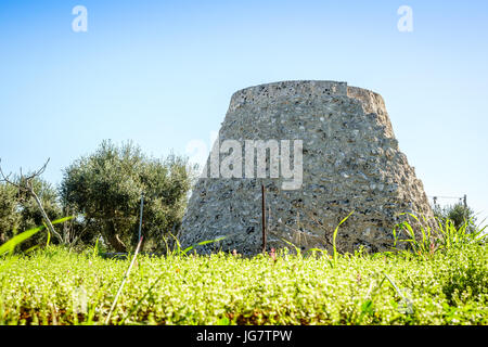 Vecchio trulli e campo ripostiglio in Puglia, Sud Italia Foto Stock