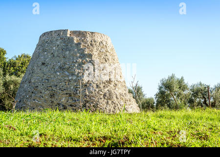 Vecchio trulli e campo ripostiglio in Puglia, Sud Italia Foto Stock