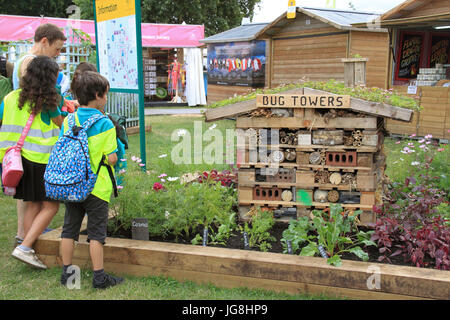 Walton Comunità riparto. Medaglia d'argento. Casella di vegetali. RHS Hampton Court Palace Flower Show 2017, Londra, Inghilterra, Regno Unito Foto Stock