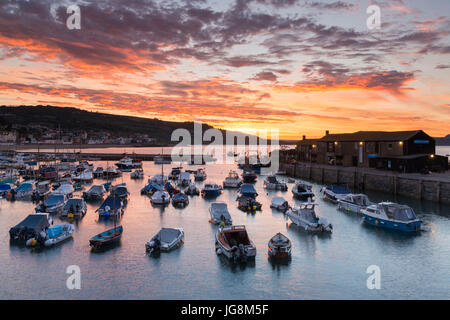 Lyme Regis, Dorset, Regno Unito. Il 5 luglio 2017. Regno Unito Meteo. Una spettacolare alba estiva oltre il porto di Cobb alla stazione balneare di Lyme Regis nel Dorset. Credito Foto: Graham Hunt/Alamy Live News Foto Stock