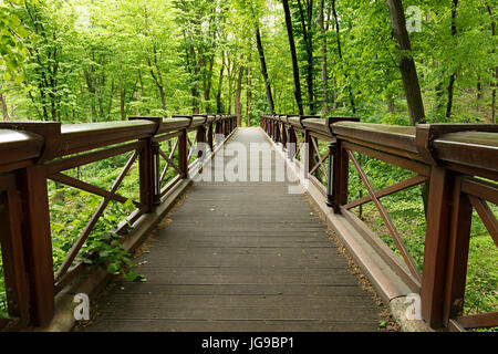 Un nuovo grande ponte di legno in una luce verde parco vecchio, attraversando una profonda gola Foto Stock