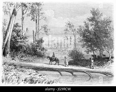 Vecchio vista del tronco di eucalipto passerella in Dalry stazione, lo stato di Victoria, Australia. Creato da Girardet e Gauchard, dopo De Castella, pubblicato o Foto Stock