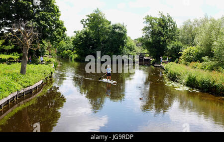 Suffolk UK - Paddle boarder sul fiume vicino Flatford Mill In estate - solo per uso editoriale Foto Stock