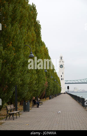 Linea di alberi il Quai de l'Horloge da St Lawrence River a Montreal, Canada. Conoscere gente del posto la torre dell orologio come il Tour de l'Horloge. Foto Stock