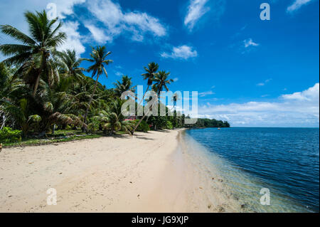 Una bellissima spiaggia di sabbia bianca e palme sull isola di Yap, Stati Federati di Micronesia Foto Stock