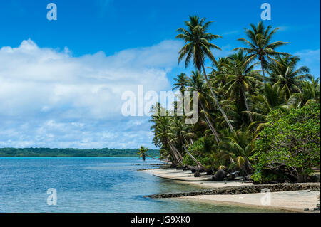 Una bellissima spiaggia di sabbia bianca e palme sull isola di Yap, Stati Federati di Micronesia Foto Stock