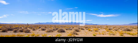 Un panorama del deserto area al di fuori dell Area 51 con desert scrubbery, distante un Joshua Tree e di mucca e montagne sullo sfondo Foto Stock