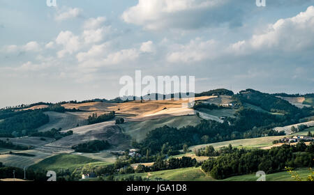 Colline coltivate nell'Appennino settentrionale. Monghidoro, provincia di Bologna, Emilia Romagna, Italia. Foto Stock