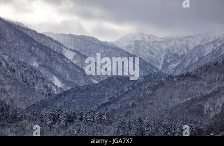 Paesaggio di montagna con la foresta di pini sotto il mistero del cielo d'inverno. Foto Stock