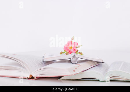 Aprire i libri con fiori al mattino, tono Vintage Foto Stock