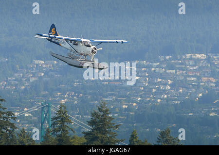 Un iconico porto aria idrovolanti de Havilland DHC-2 beaver nell'aria saltspring livrea rendendo il suo approccio nel porto di Vancouver aeroporto d'acqua. Foto Stock
