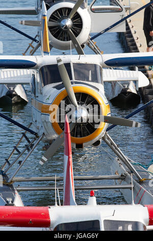 Iconici Porto vintage aria idrovolanti DHC-2 beaver floatplanes ormeggiata nel porto di Vancouver centro di volo, British Columbia, Canada. Foto Stock