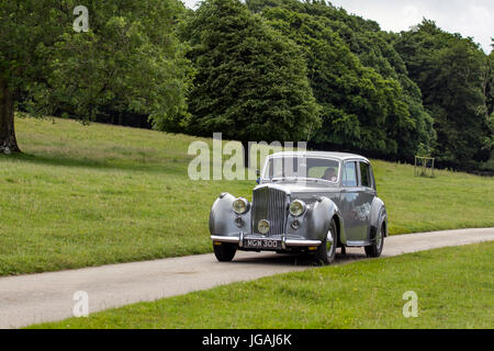 1951 50s grigio Bentley 4566cc benzina 50s berlina classica, veicoli d'epoca restaurati da collezione guidati in un parco boschivo, Regno Unito Foto Stock