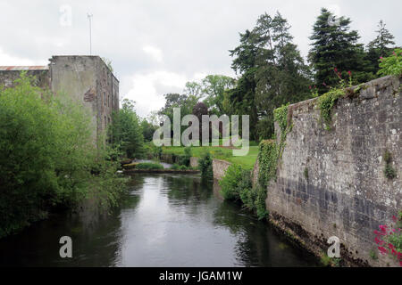 Castello di Cahir, Cahir, Tipperary, Irlanda Foto Stock