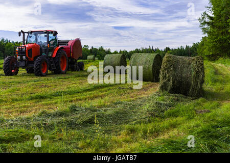 Fienagione rotopressa e balle di fieno nel campo Inizio su una soleggiata mattina d'estate. Foto Stock