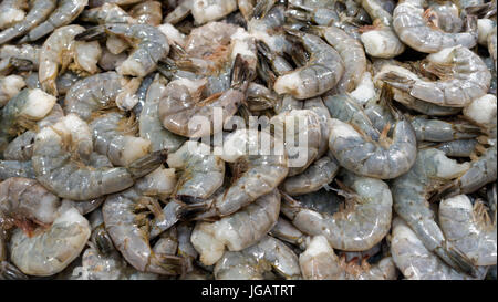 Crudo fresco libbre crudo di gamberi foto Foto Stock