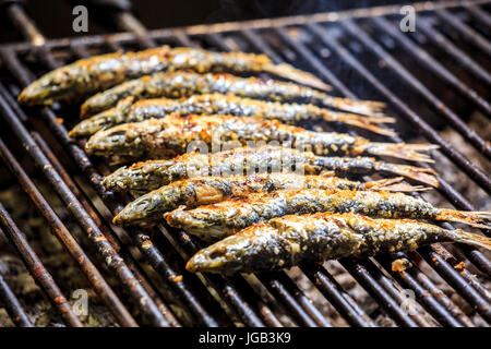 Appena sardine grigliate alla brace, Portogallo Foto Stock