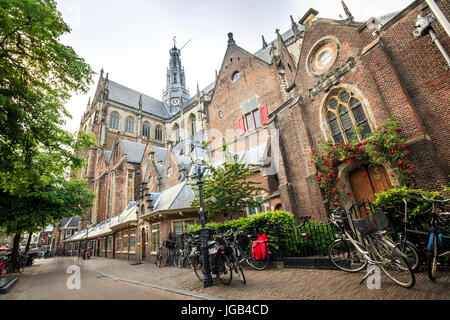 Il Saint Bavo chiesa in Haarlem, Paesi Bassi Foto Stock