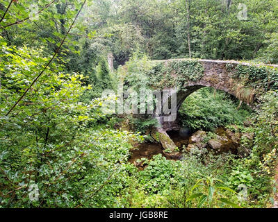 Antico ponte romano a Fornoli in Lunigiana, Italia. Sulla Via Francigena. Foto Stock