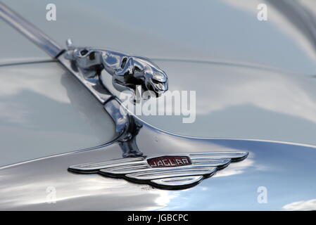 Sandhurst, Regno Unito - 18 Giugno 2017: Jaguar saltando Cat mascotte del cofano o emblema su un vintage Jaguar Foto Stock