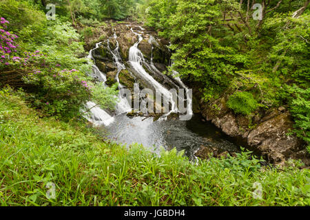 Parte del Swallow rientra nel Parco Nazionale di Snowdonia. Betws y Coed, Gwynedd, Wales, Regno Unito. Foto Stock