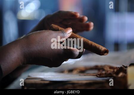 Una donna nera di rotolamento in stile cubano di sigari in un tradizionale vecchio stile cigar shop. Foto Stock