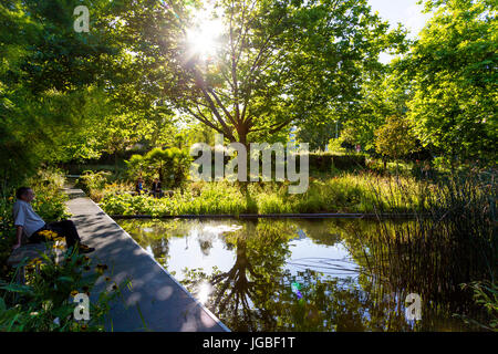 Jardin des Geants (il Giardino dei giganti) a Lille, Francia Foto Stock