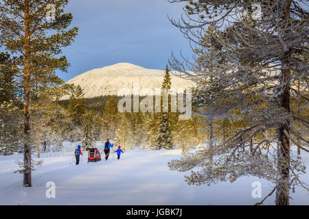 Famiglia sci cross country nella vasta foresta sotto il Monte Trysilfjellet, Trysil, Norvegia. Spia della tenuta in caldo. Foto Stock