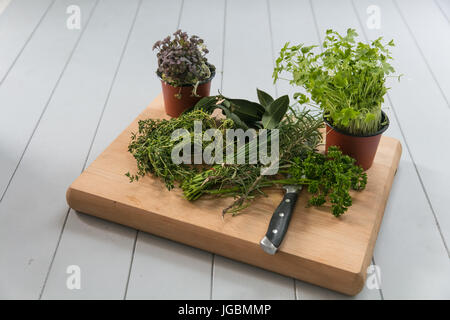 Le erbe fresche su di un tagliere Foto Stock