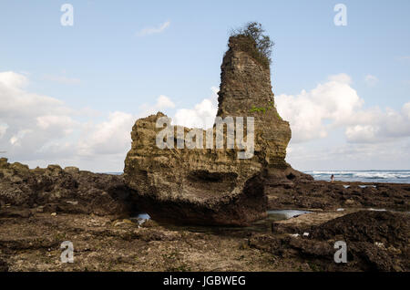 Marea bassa scogliera di Sumba, Indonesia Foto Stock