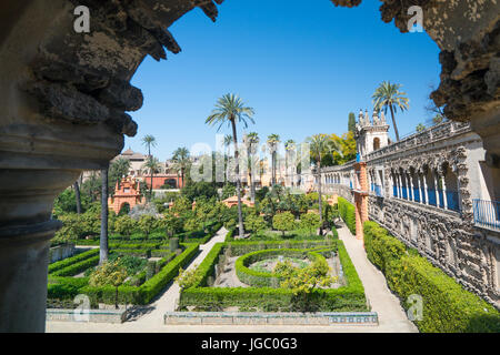 Giardini dell'Alcazar, Siviglia, in Andalusia, Spagna incorniciata da un open arcata in pietra Foto Stock