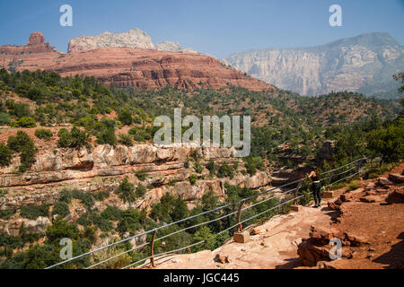 Oak Creek Canyon, Coconino National Forest, Red Rock Country, Arizona, Stati Uniti d'America Foto Stock