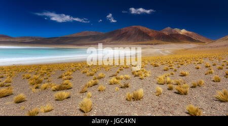 Tuyajto lago, il deserto di Atacama, Cile Foto Stock