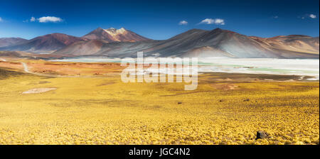 Salar de Aguas Calientes, Atacama, Cile Foto Stock