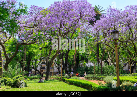 Plaza Rodriguez Peña, Buenos Aires, Argentina, Sud America Foto Stock