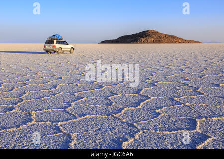 Isla Incahuasi in Salar de Uyuni, Bolivia, Sud America Foto Stock