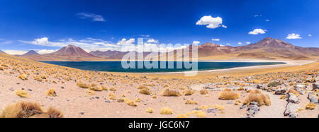 Laguna Miscanti, los Flamencos riserva nazionale, il Deserto di Atacama, Cile, Sud America Foto Stock