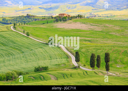 Terrapilla, Val d'Orcia, Toscana, Italia Foto Stock