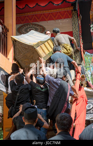 Familiari e parenti che trasportano la bara per la particolarità del luogo di sepoltura. Tana Toraja, Sulawesi Indonesia Foto Stock