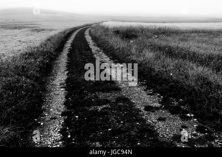 Una strada di campagna di scomparire nella nebbia lontana e la nebbia Foto Stock