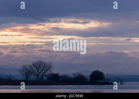 Tramonto al lago, con scheletro di alberi e piante e moody sky Foto Stock