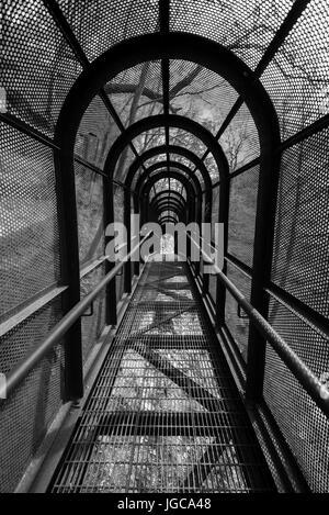 Immagine in scala di grigi di un vuoto elevato coperta passerella in metallo con design ad arco in un parco nazionale in Philadelphia attraverso le cime degli alberi in un receding vi Foto Stock