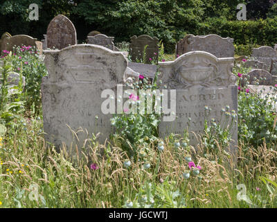 Lapidi in una sezione della fauna selvatica di un cimitero con fiori ed erbe Foto Stock