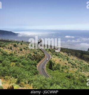 Una vista dall'alto su un singolo albero sulla strada a Vulcano Teide, Teneriffe Foto Stock