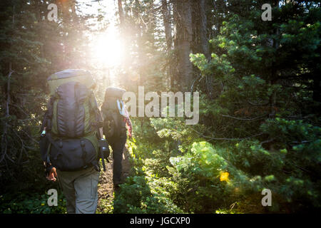 L uomo e la donna trekking attraverso la foresta, Wyoming America, STATI UNITI D'AMERICA Foto Stock