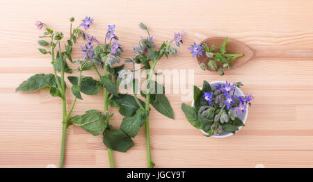 Ciotola e cucchiaio di legno con borragine Foto Stock