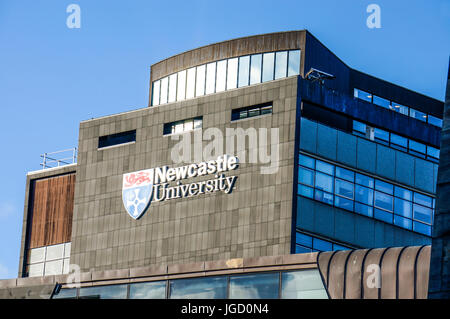 Una delle molte università di Newcastle edifici nel centro della città di Newcastle upon Tyne, Tyne and Wear, Inghilterra, Regno Unito. Foto Stock