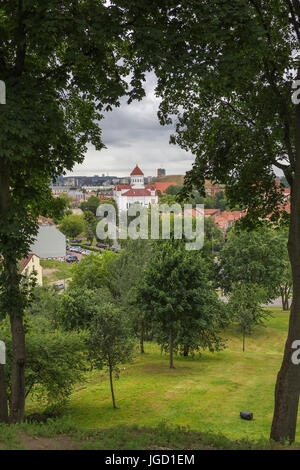 Vista dalla collina della Cattedrale della Beata Vergine Maria dal colle del Salvatore. Vilnius. La lituania Foto Stock