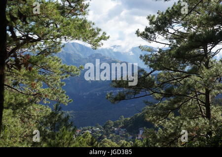 Mountain View incorniciato dal verde albero sempreverde foresta. Montagne coperte di alberi di alto fusto e di un cielo nuvoloso ma giornata di sole. Baguio City, Filippine. Foto Stock